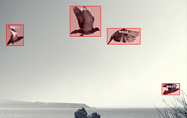 益达平台登录视频标注